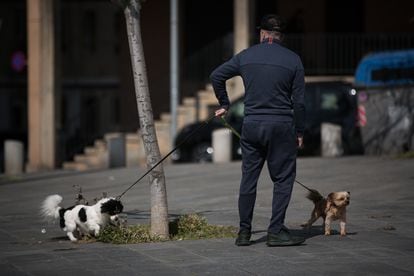 Un hombre pasea dos perros en el Paseo Marítimo de Barcelona durante el estado de alarma.
