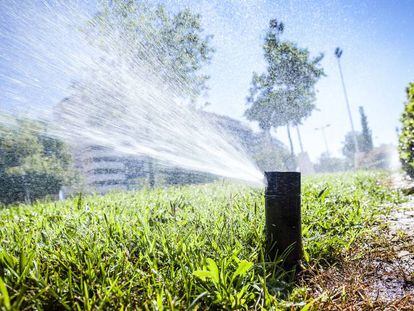 Las zonas verdes de algunas fincas se han diseñado desde un punto de vista estético y malgastan. 