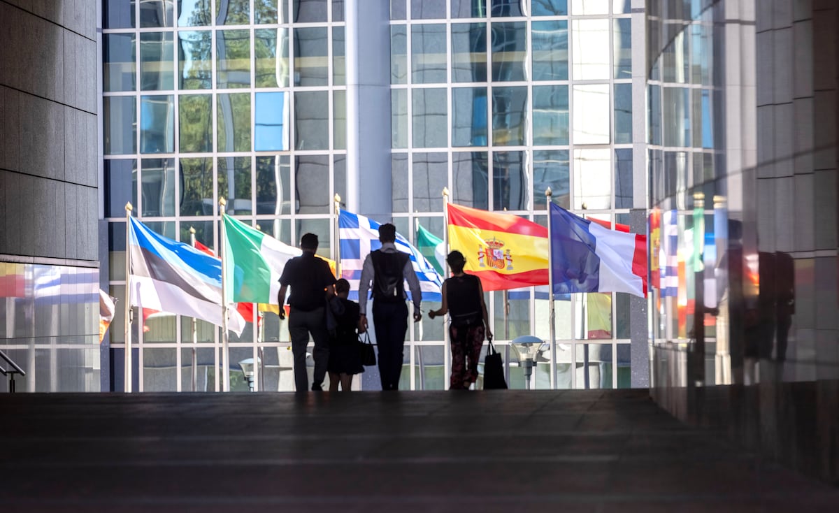 El ‘lobby’ feroz sigue de caza en Bruselas | Negocios