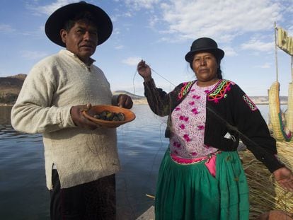 El lago Titicaca pierde sus peces