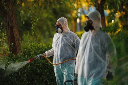 Labores de fumigación contra mosquitos en La Puebla del Río (Sevilla).