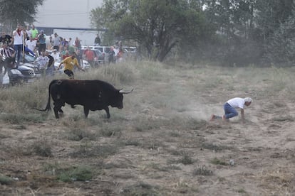 Una persona huye del toro durante el encierro.  