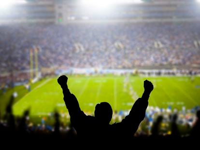 Fans celebrate at a football game