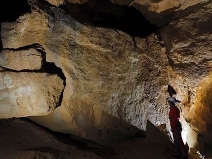 Un investigador analiza las pinturas rupestres de la cueva de Ojo Guareña (Burgos)