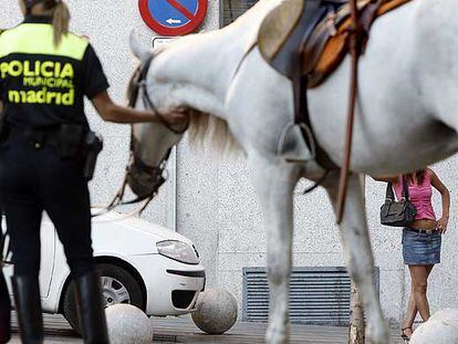 Caballos de la Policía Municipal de Madrid