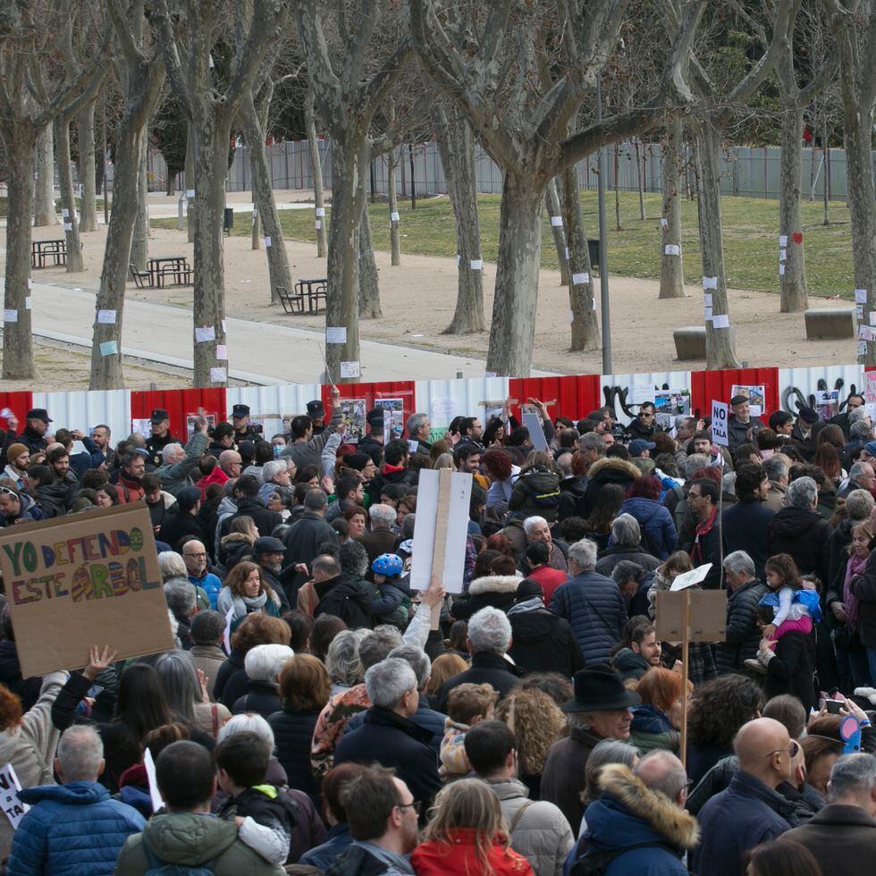 Ayuso rectifica y paraliza la tala de árboles en el parque de Madrid Río  tras una manifestación multitudinaria | Madrid | EL PAÍS