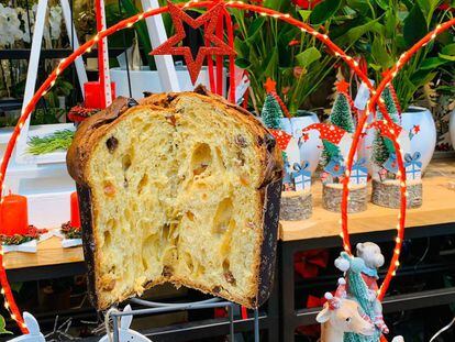 Cómo hacer en casa el mejor panettone de España