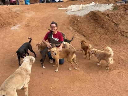 Guillermina Galván junto a un grupo de perros, en su refugio en Ensenada (México), en una imagen de sus redes sociales.