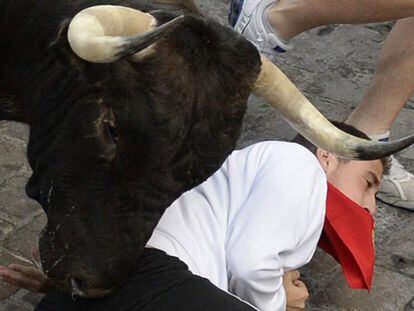 Un herido grave en el encierro de los toros de Dolores Aguirre