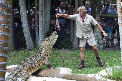 Steve Irvin alimenta a un cocodrilo durante una exhibición en febrero de 2002.