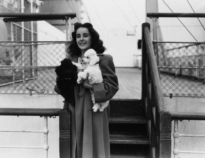 La actriz Elizabeth Taylor fotografiada en el Queen Mary con sus perros en brazos en 1947. 