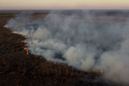 Vista aérea de un un humedal en llamas, cerca de Rosario, el 16 de agosto.