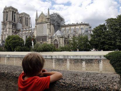 Un niño observa la catedral de Notre Dame .