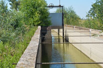 Sistema de transporte de agua por canales abiertos. Es uno de los mecanismos más antiguos y derrochadores de agua: entre menos liquido fluya, más rápido se evapora. Las Marismas del Guadalquivir, el 13 de julio de 2023.