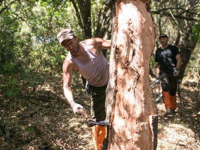 Arriba, descortezadores de alcornoques en la sierra de C&aacute;diz. Abajo, la dise&ntilde;adora Mar&iacute;a Beltr&aacute;n.&nbsp;