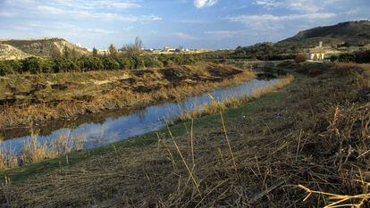 El río Segura, a su paso por Murcia, en una imagen de archivo.