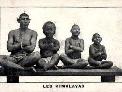 Imatgen publicitària de la tribu Himalaya, venuda com una espècie entre l'home i el mono.
