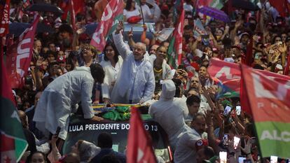 Cadáver de una ballena.
