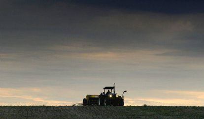Imagen de un campo de soja en Uruguay.
