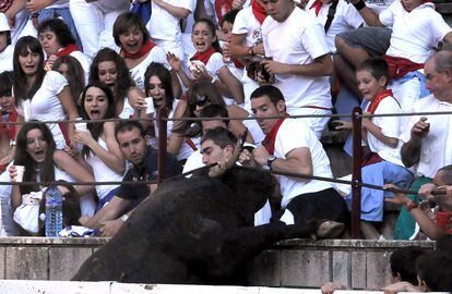 El novillo Quesero intenta saltar la grada de la plaza de Tafalla ante la mirada de terror de los espectadores. El toro iba a ser devuelto tras dañarse uno de sus cuernos.