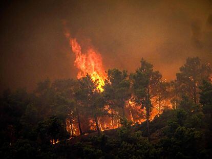 El incendio en la isla de Rodas (Grecia) quema un monte de pinos este sábado.