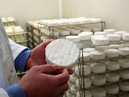 Un productor de Bermonville (Francia) muestra un Camembert elaborado con leche cruda.
