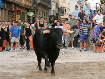 Espectáculo de 'bous al carrer', en Burriana, EN 2019.