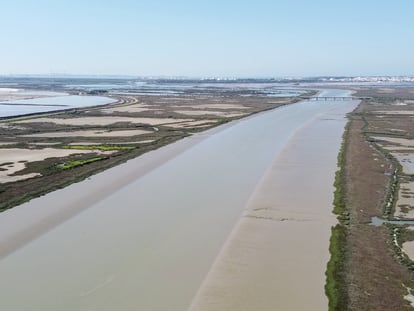 El río Guadalete a su paso por el Parque Natural de la Bahía de Cádiz (El Puerto de Santa María), una de las zonas que se va a intervenir en el proyecto.