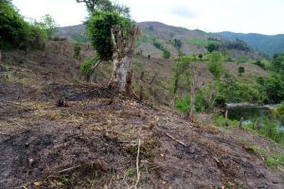 Deforestación provocada por empresas chinas en Laos.