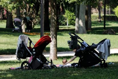 Carritos de bebé en el parque del Turia, en Valencia.
