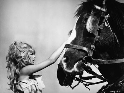 Retrato de la actriz francesa Brigitte Bardot acariciando un caballo, hacia los años sesenta.