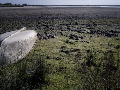 Las lagunas desaparecen de Doñana