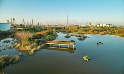 La Laguna Primera de Palos ha pasado de espacio degradado a ser una referencia de recuperación ambiental.