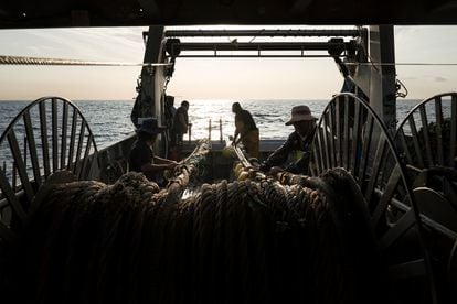 Pesca de arrastre en el litoral de Barcelona, en una imagen de febrero de 2021.