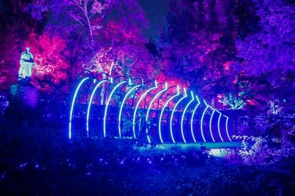 Una de las 16 instalaciones lumínicas de ‘Naturaleza Encendida’, en el Real Jardín Botánico.