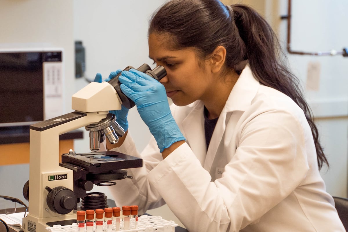 Del efecto Matilda a las científicas de hoy: así se ayuda a visibilizar las contribuciones de la mujer a la ciencia |  Formación |  Economía