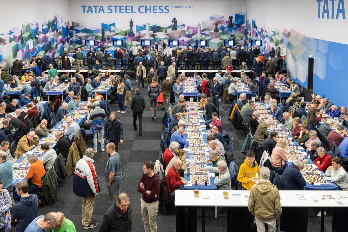 Torneo de ajedrez de Wijk aan Zee: Abdusattórov mantuvo un punto sobre Carlsen en las rondas de la final |  Noticias de Ajedrez