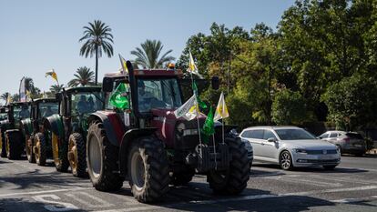 Agricultores y ganaderos de Andalucía se manifiestan para que se rectifique la propuesta de plan estratégico de la PAC en las calles de Sevilla.