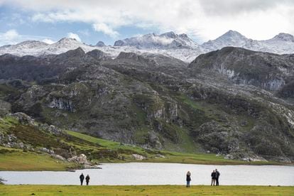El lago de origen glaciar Ercina, uno de los que forman los Lagos de Covadonga, a 1.108 metros de altitud, dentro del parque nacional de Picos de Europa (Asturias).