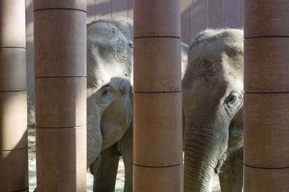 Detalle de la Casa de los elefantes del zoo de Copenhague.