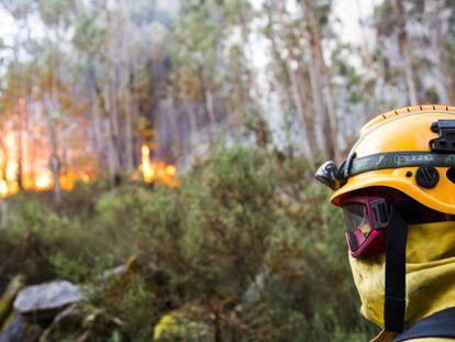 Un brigadista durante un incendio forestal en Galicia el verano pasado.