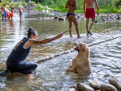 Una mujer se refresca con su perro en el río Iregua a su paso por Logroño.