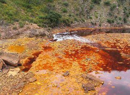 Los microorganismos que viven en las aguas del río Tinto (Huelva) tienen un metabolismo basado en la energía producida en la oxidación de la pirita. Se produce ácido sulfúrico que acidifica el agua del río convirtiéndolo en un ambiente extremo.