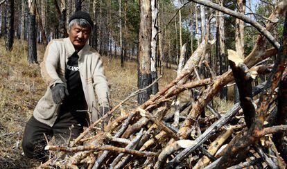 Un miembro de un grupo de usuarios de bosque en Tsagaan Uur (Mongolia) retira ramas para evitar incendios.