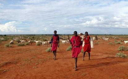 Hombres masai en Laikipia, Kenia.