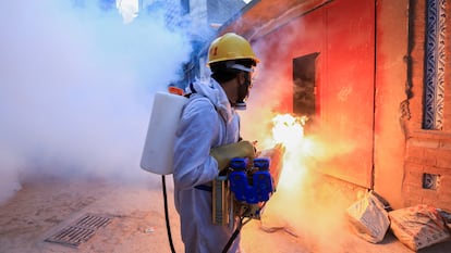 Un trabajador fumiga una calle en Peshawar, Pakistán, para detener un brote de dengue.