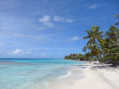 Playa en el atolón Toau, en la Polinesia Francesa.