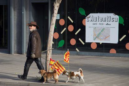 Un hombre pasea dos perros que portan banderas españolas y catalanas esta mañana por la calle Mayor de Lleida.