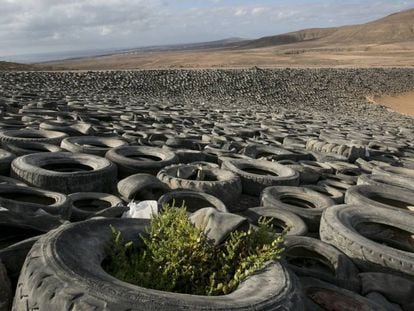 Neumáticos en el complejo medioambiental de Zurita, en Fuerteventura.