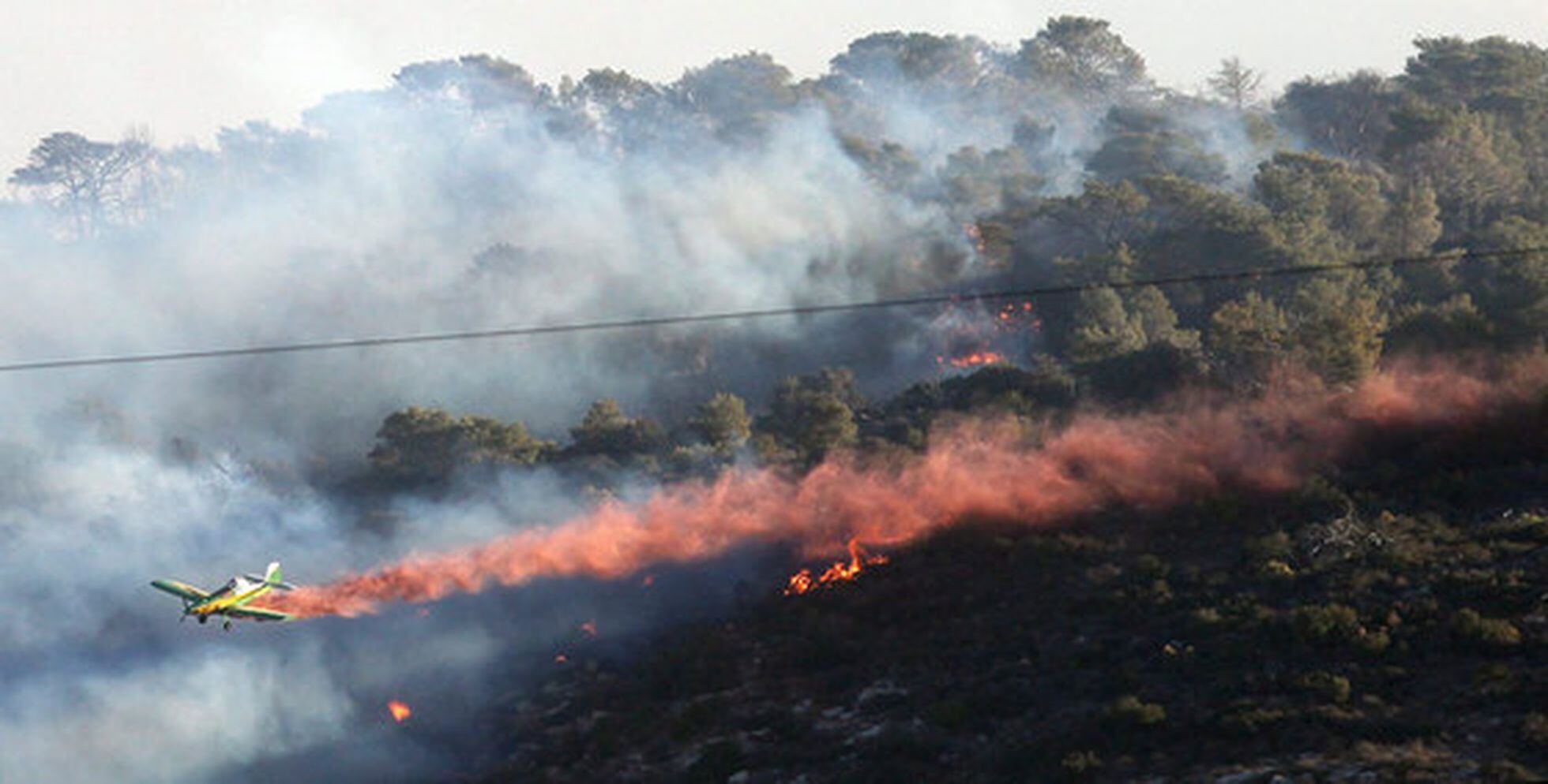 La comunidad internacional se moviliza para sofocar el peor incendio de la  historia de Israel | Internacional | EL PAÍS